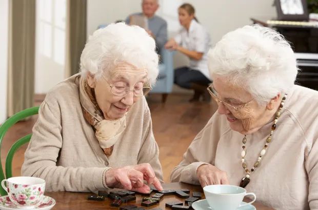 zuna467kq19jf67e3ceo8gniw 2013 06 2510 36 24