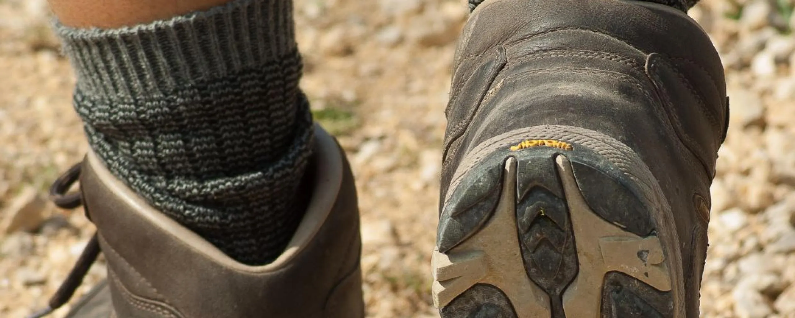 4daagsegemeentelwaard9567