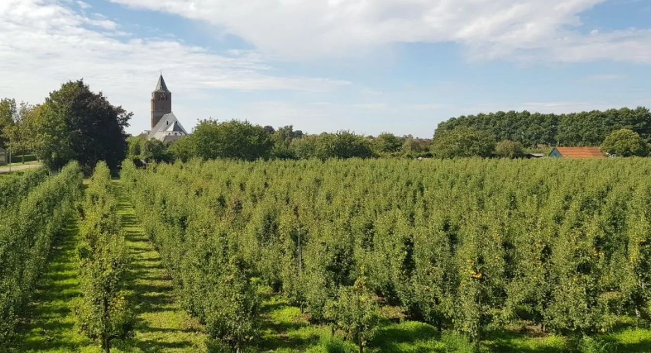 wandelroute door de betuwe wandelnet