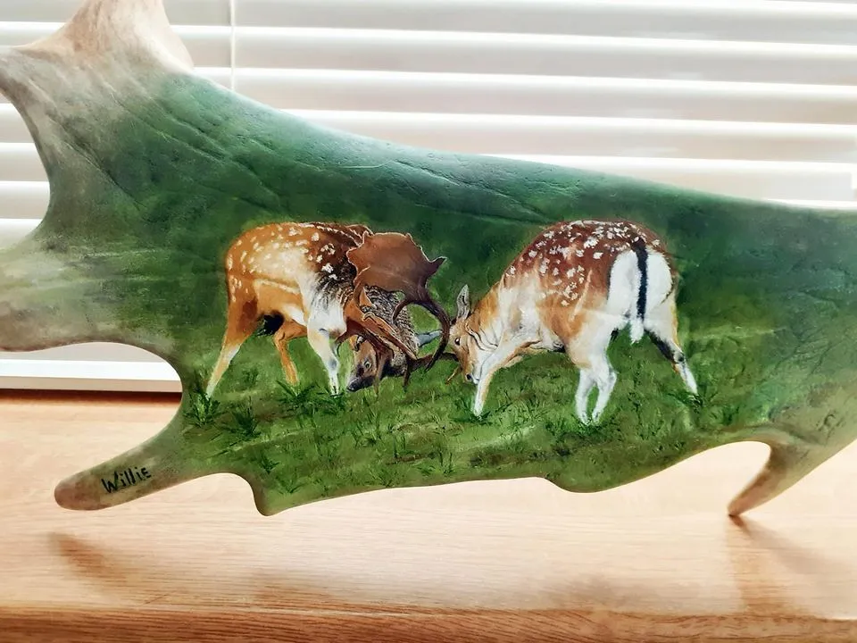 willie peek fink183448162 2114386965401812 2230131638810512151 n