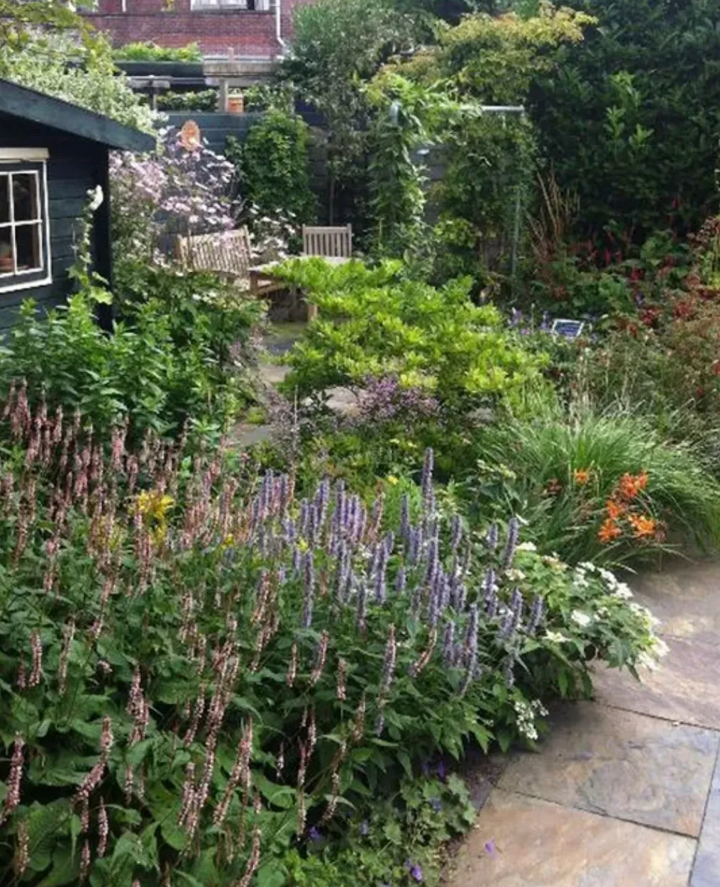 levende tuinlezing sln op 16 oktober een levende tuin maak je zelf