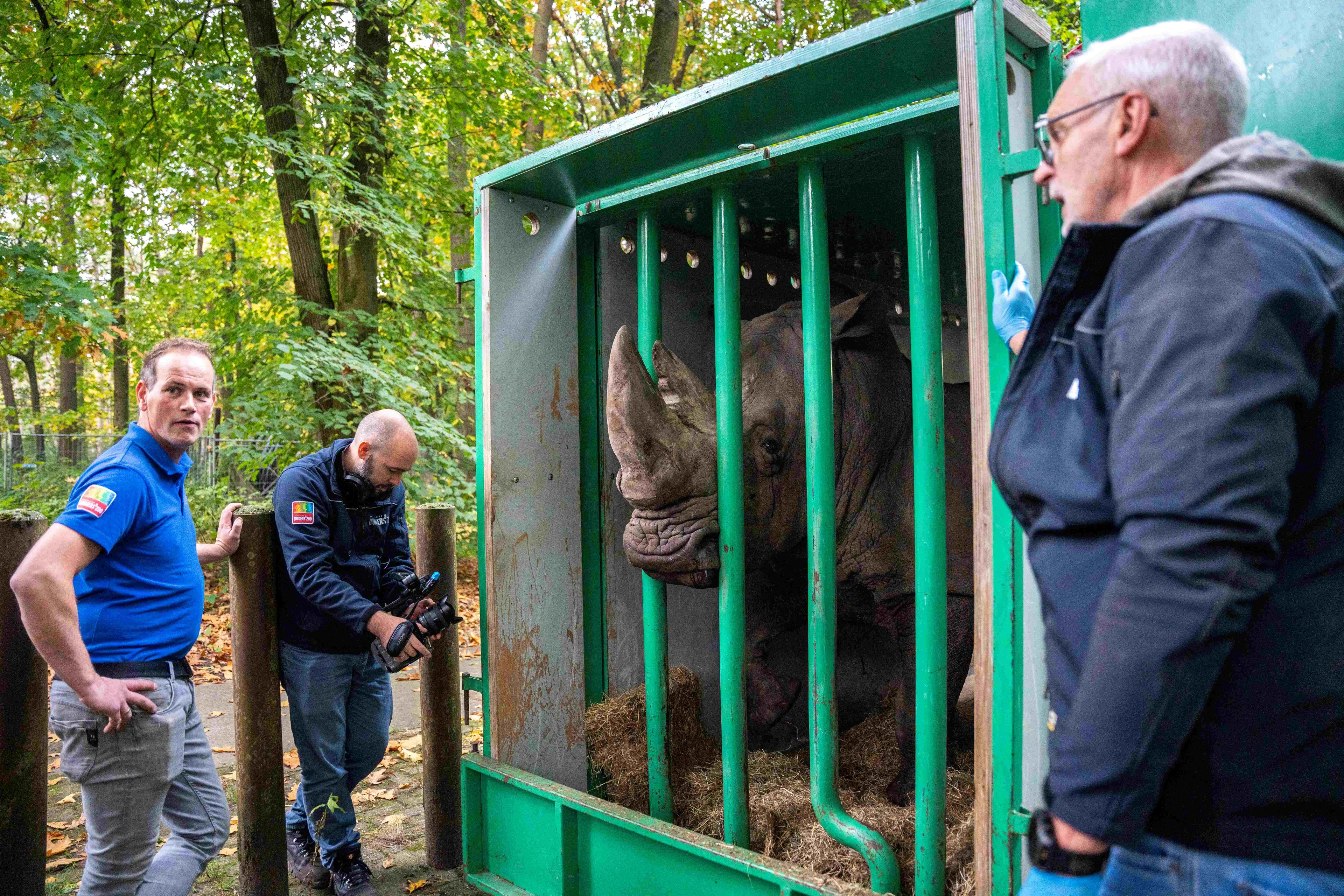 transport neushoornmannetje 4 1