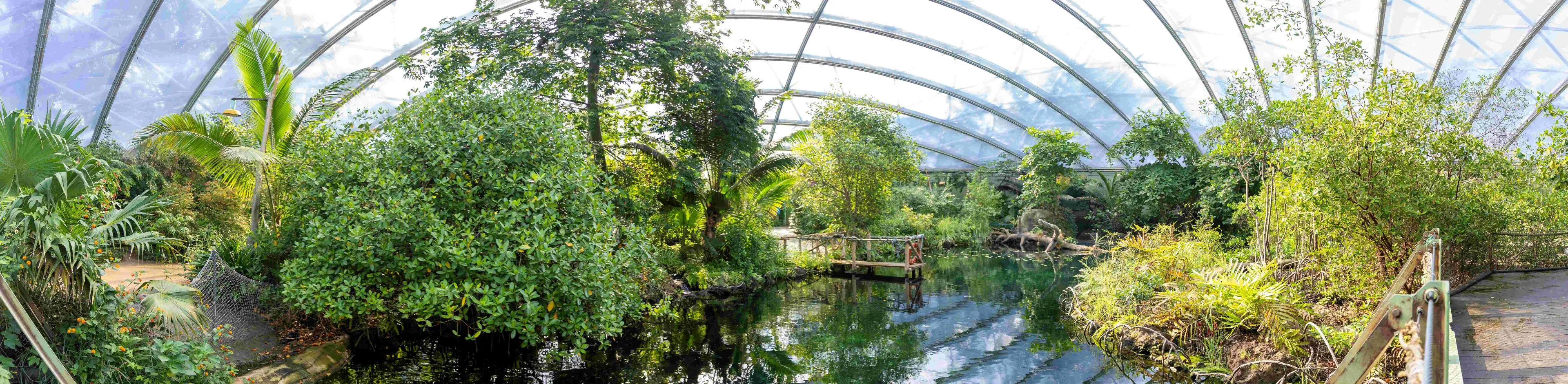 panorama burgers mangrove 1 foto mira meijer