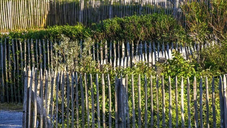 schuttingpixabayfence 4693465 480 915x518