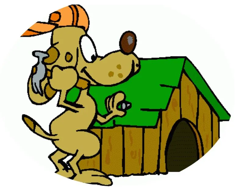 dierentehuis arnhem nieuwbouw dierentehuis arnhem