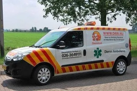 dierenthehuis arnhem en omgevingfacebook