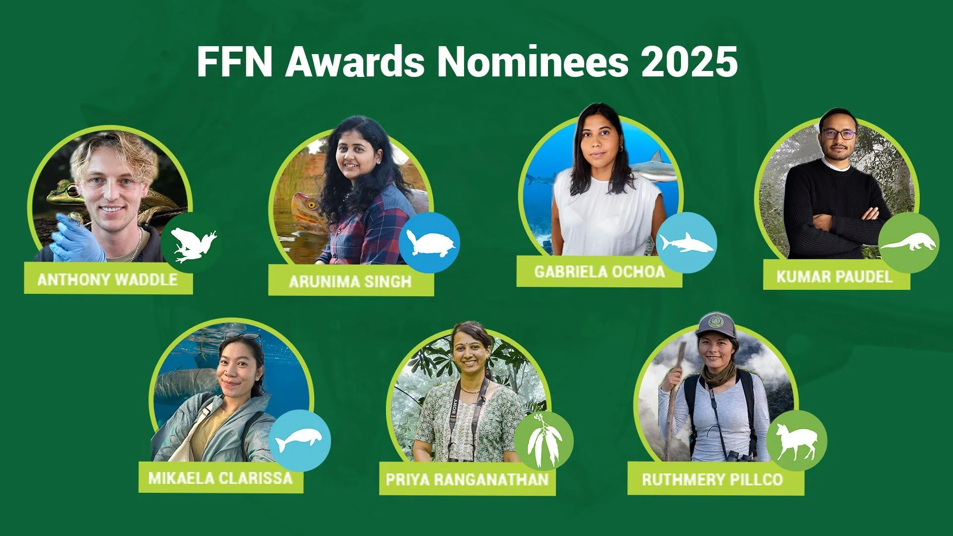 ffn genomineerden 2025