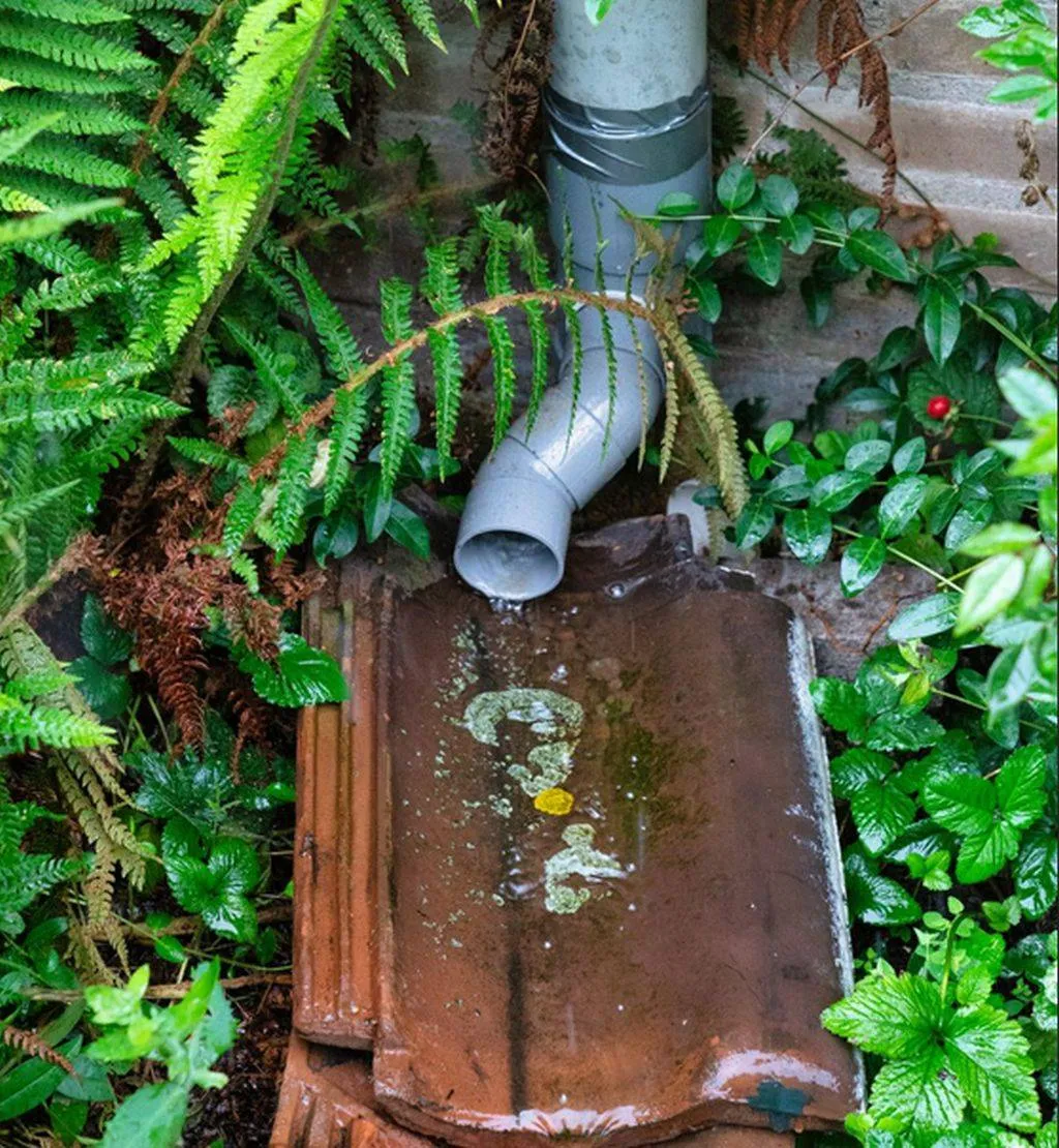 afkoppelen regenwatergemeente lingewaard1025x1536jpg jpeg afbeelding 1025 1536 pixels geschaald 44