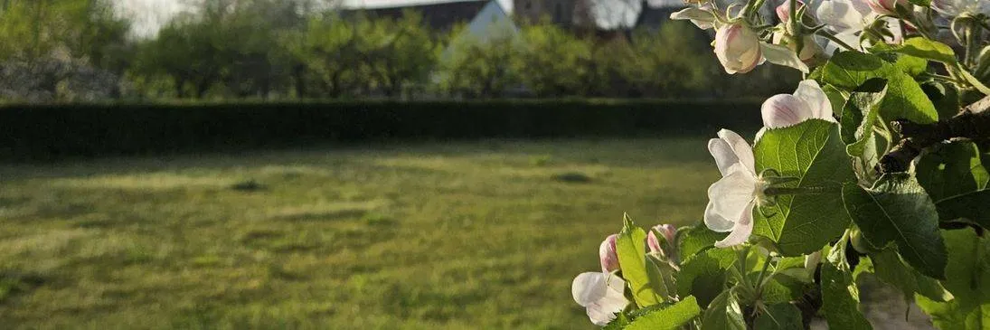 bijeenkomst landschap natuur en biodiversiteit gemeente lingewaard