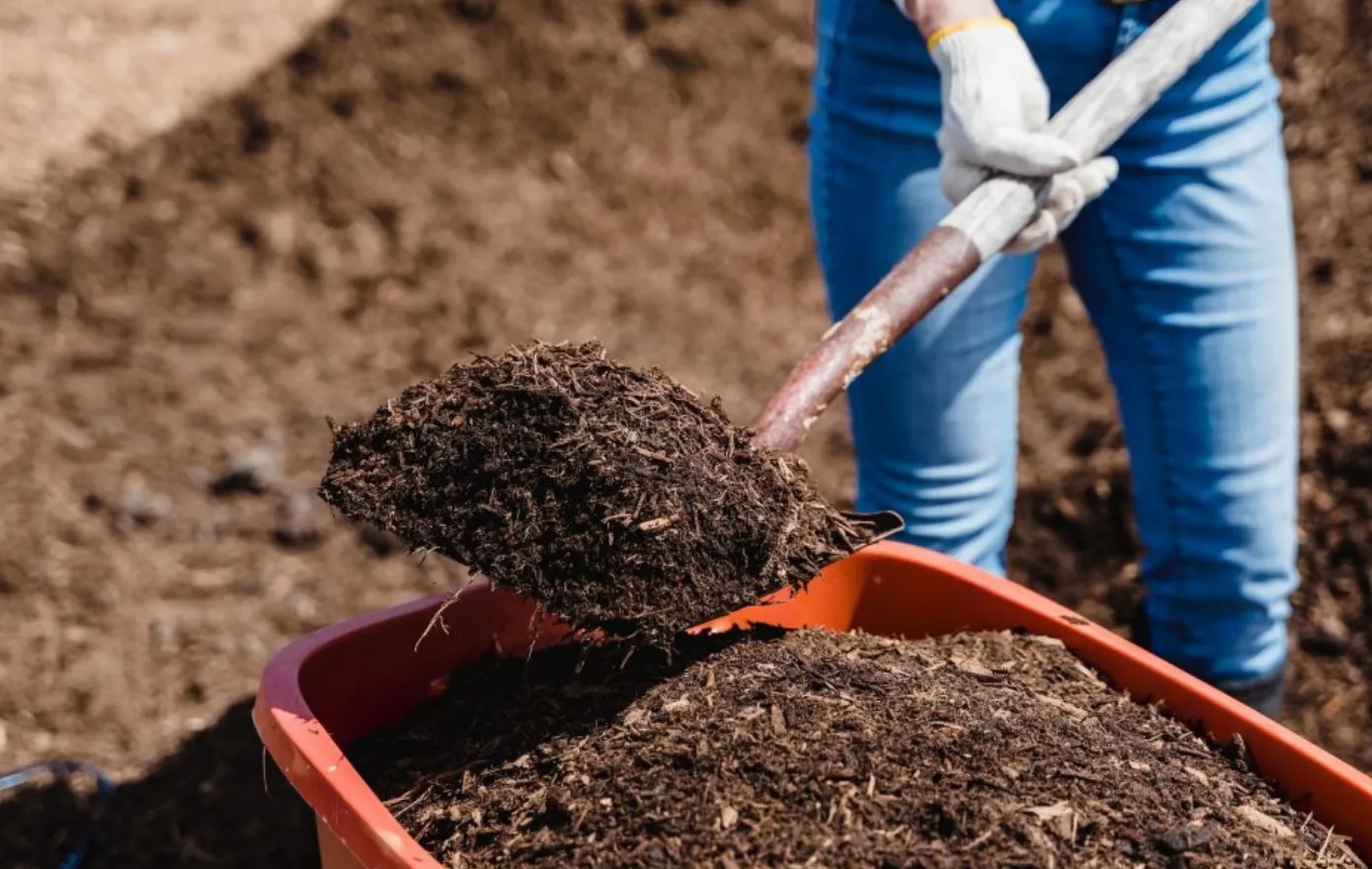 compostdag websitejpg jpeg afbeelding 960 768 pixels