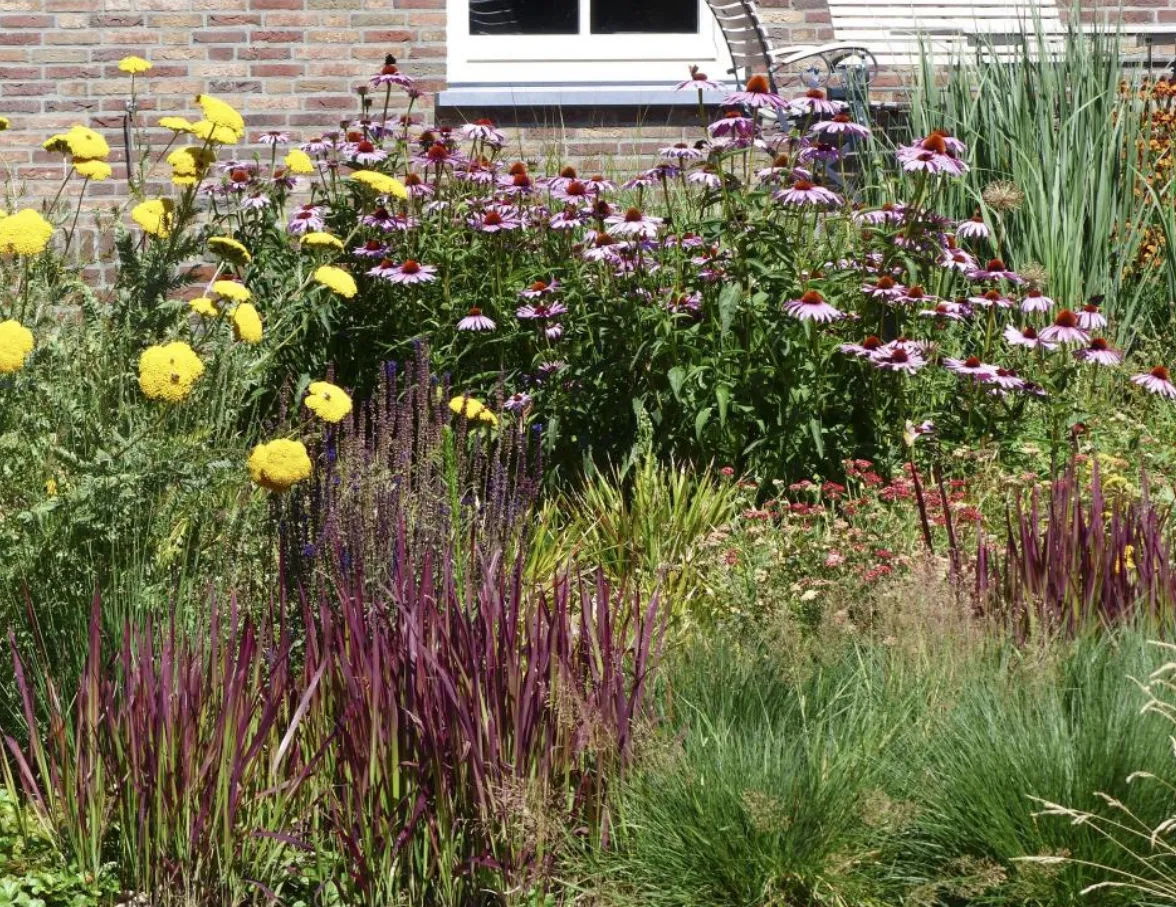 tegelwippen steenbreekjpg jpeg afbeelding 960 768 pixels geschaald 83