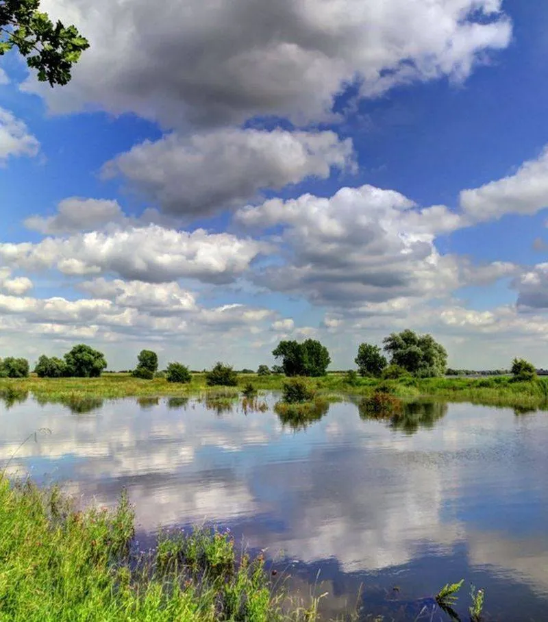 samenwerken aan een nog groener lingewaard1 gemeente lingewaard