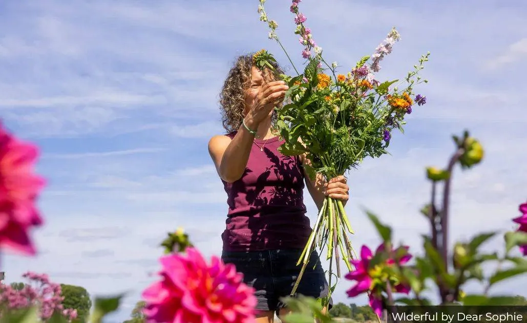 Wilderful by Dear Sophie. Vanaf nu makkelijker om in Gelderland biologische bloemen te kopen