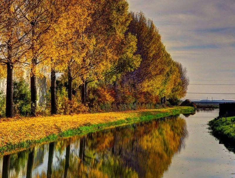 Kiek! Lingewaard de herfst in beeld Gemeente Lingewaard