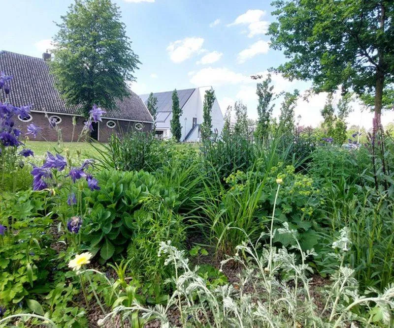 Programma LNB vastgesteld Gemeente Lingewaard