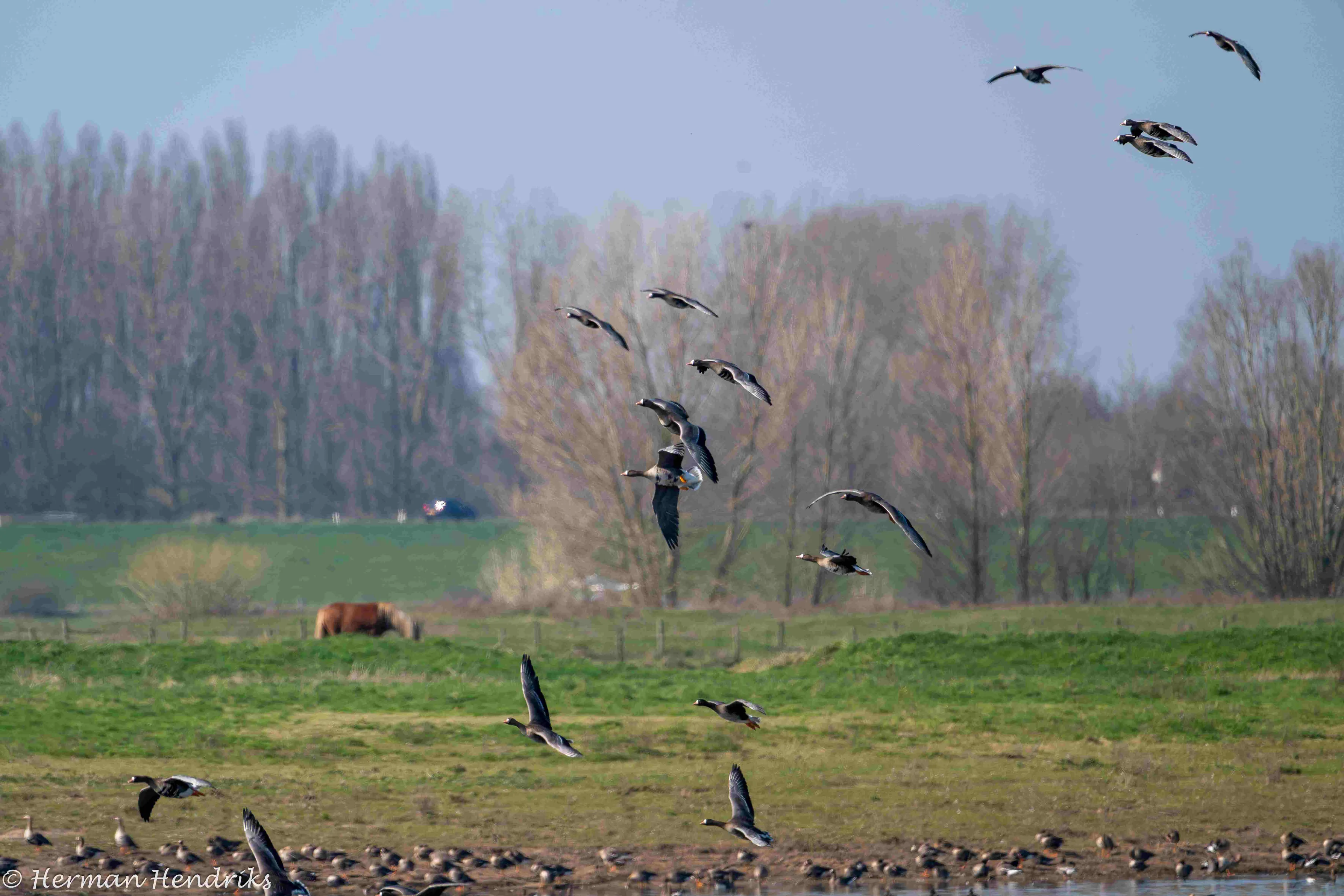 Uitzicht vanaf de kijkhut bij het Vossengat.Herman Hendriks.IVN.-5935