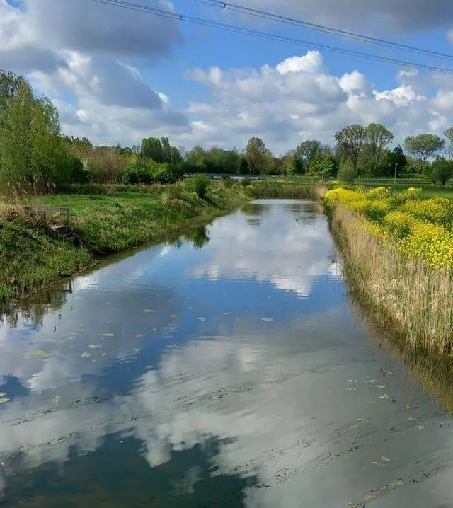 weerspiegeling winnaar fotowedstrijd april.Corine Bresser-Gielen. Gemeente Lingewaard