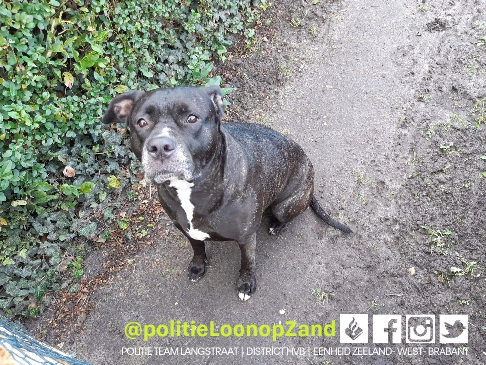 121154179 3162676053861212 7760665365987759138 o