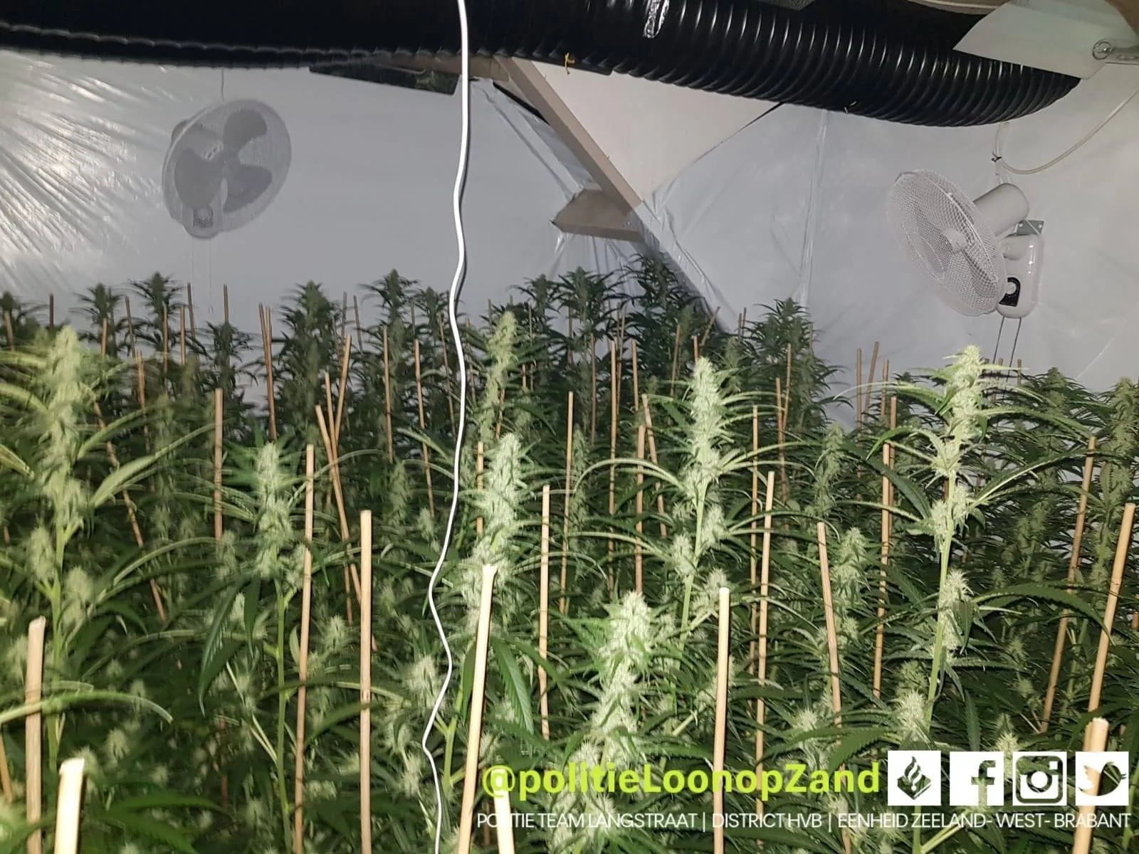 125971730 3266008206861329 2000945675507776986 o