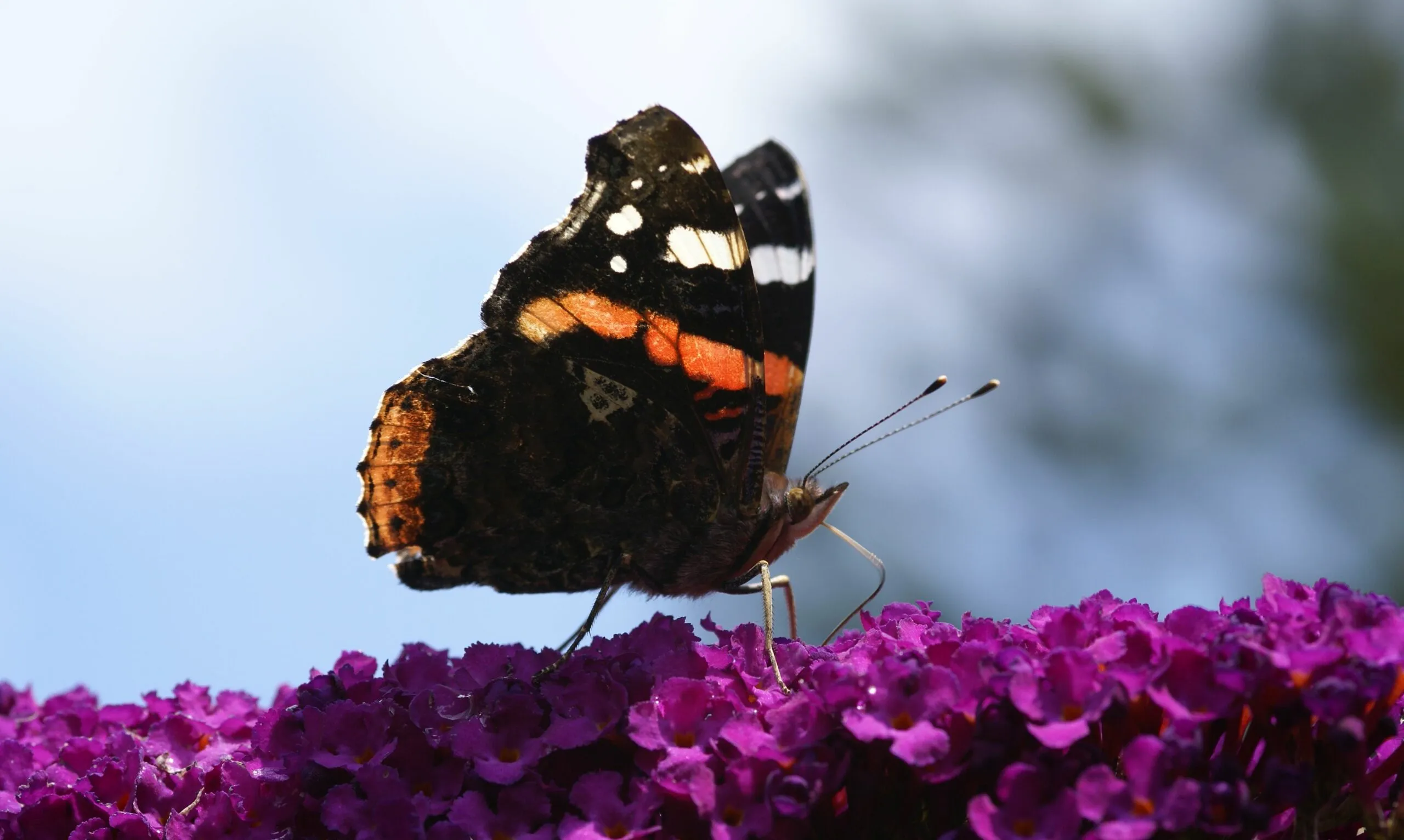 1269 802919956f269fbd6e4ee21aae707198 scaled