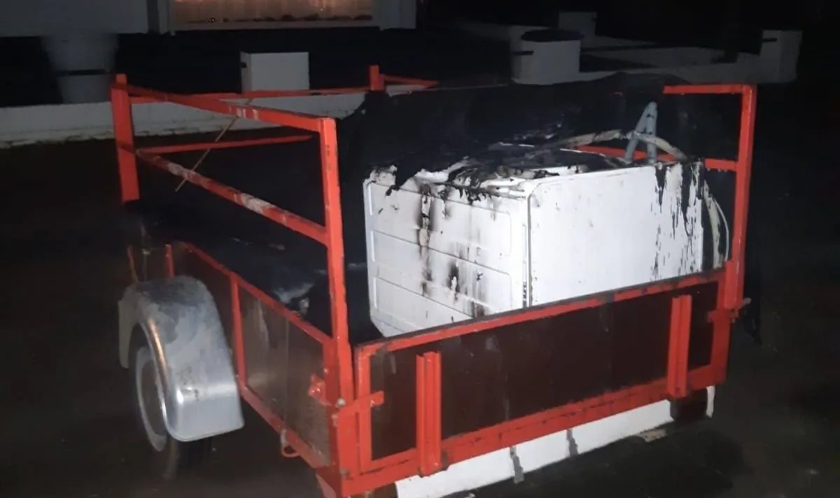 132117329 3348499071945575 7886843081204367557 o