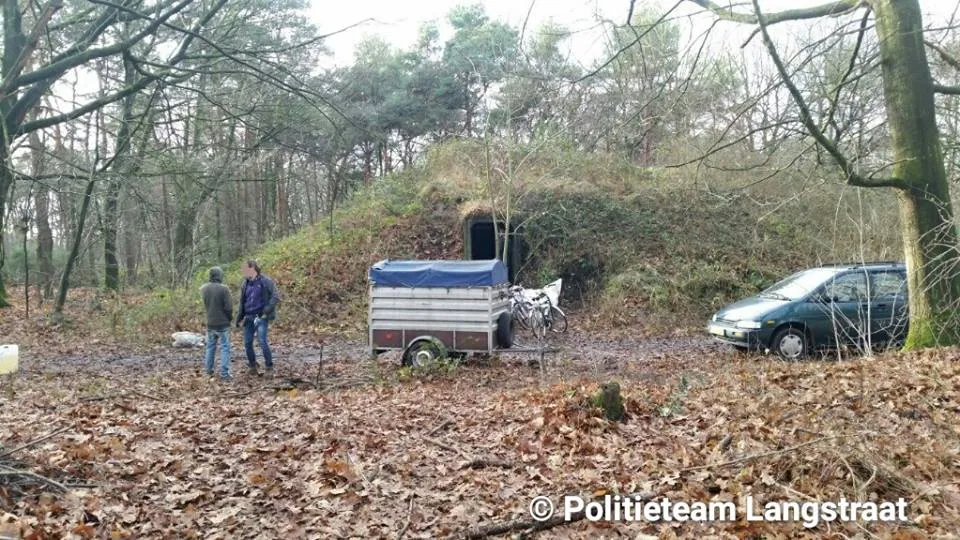 15541571 1715939085388968 5386295726607169558 n