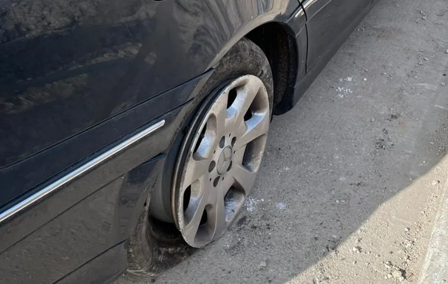 156375514 787644285171510 4824037701611384042 n