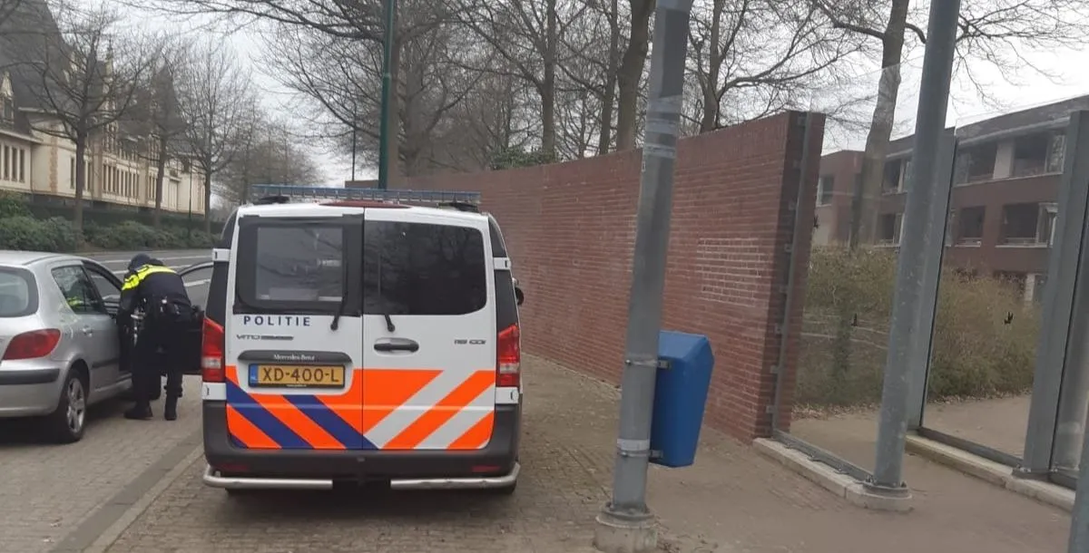 159924961 3553982401397240 2872559235342030519 o