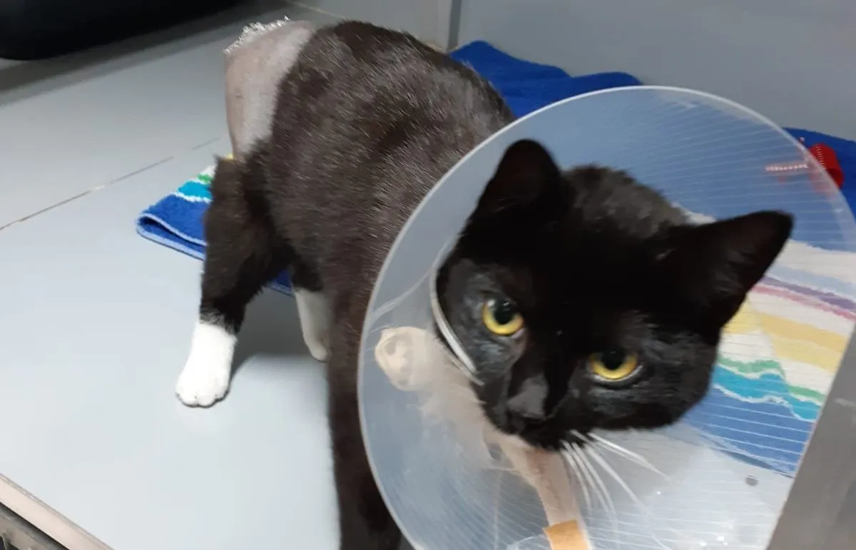 159995049 792260924709846 705920810853068671 o