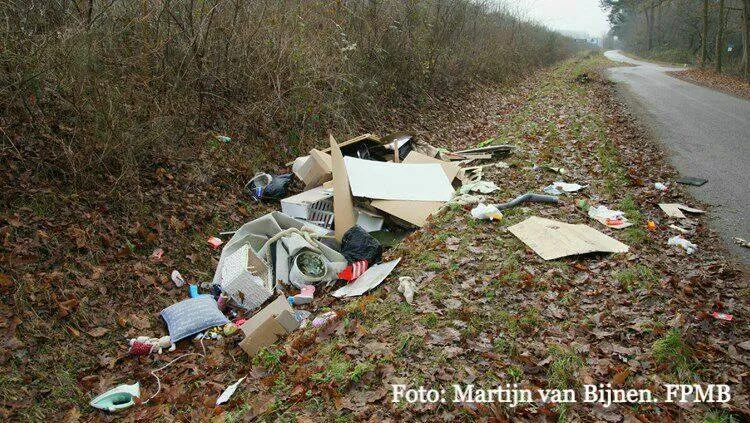 16299050 1740793522903524 7783754840178234154 n