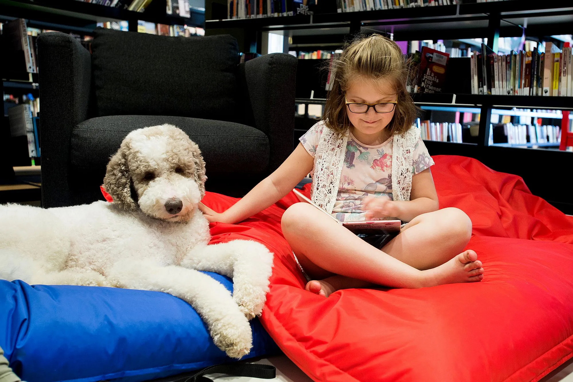 170517 voorleeshond bibliotheek waalwijk 2