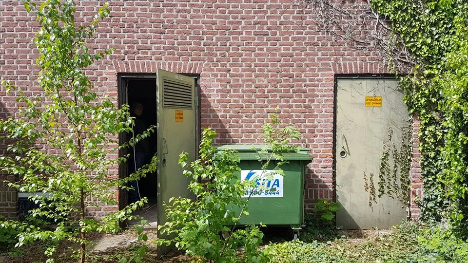 18193904 1793505997632276 3429386983450359053 n