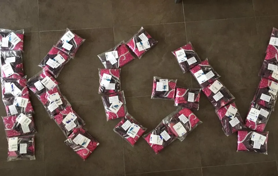 18425082 1347157548654121 2967782030555292814 n