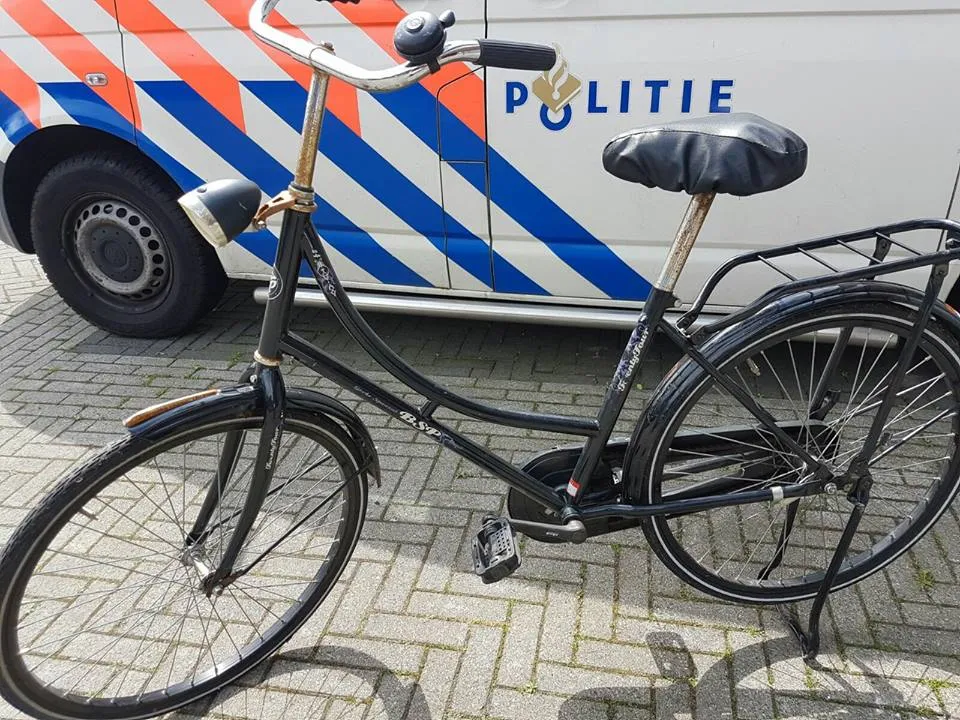 18519573 1802885670027642 6596741446662435009 n