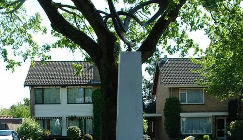 18952702 772782506215070 9062496913729162380 n