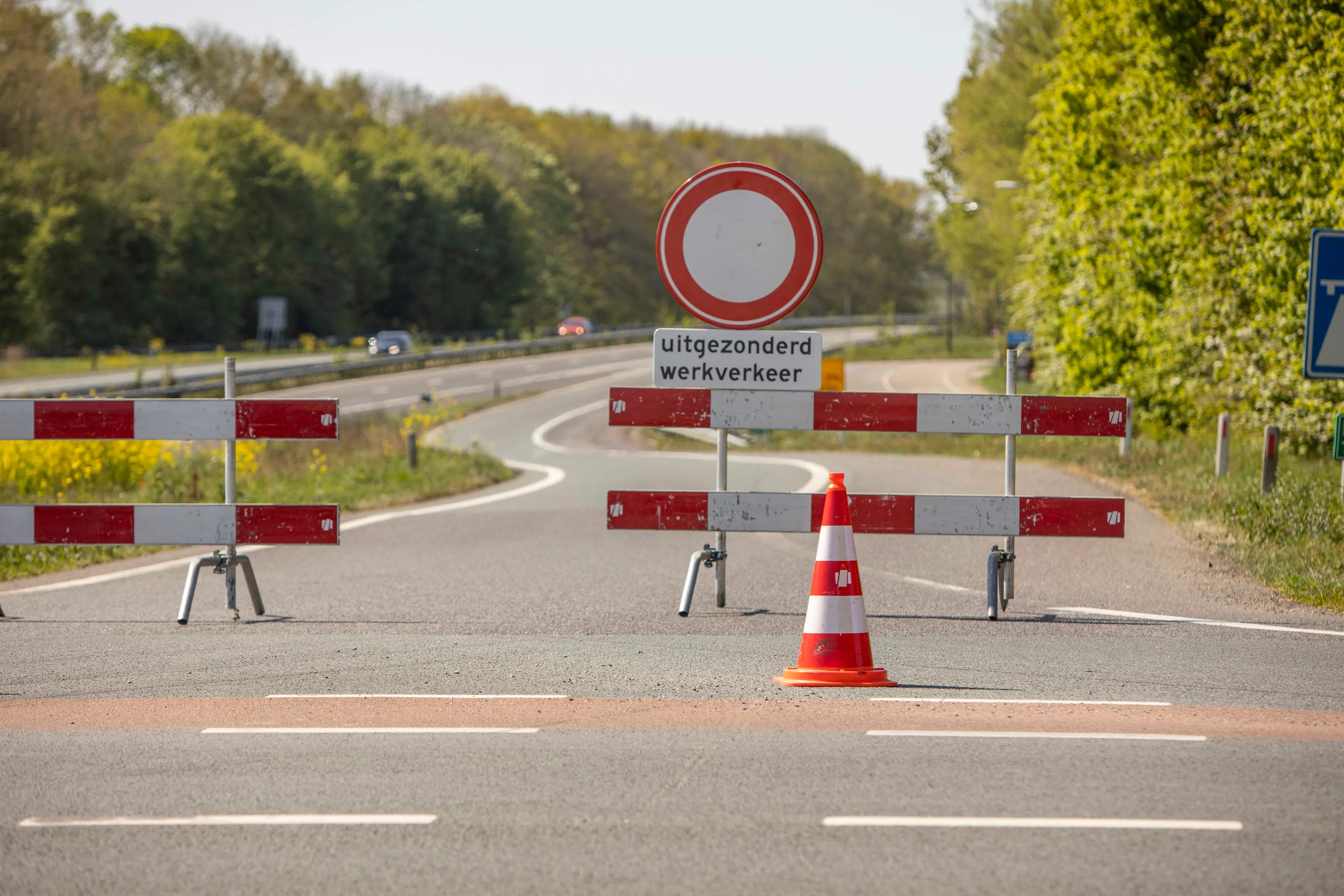 19042020 waspik 062 lr