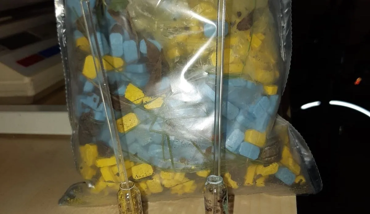 200724057 153086370185924 3601682893937740187 n