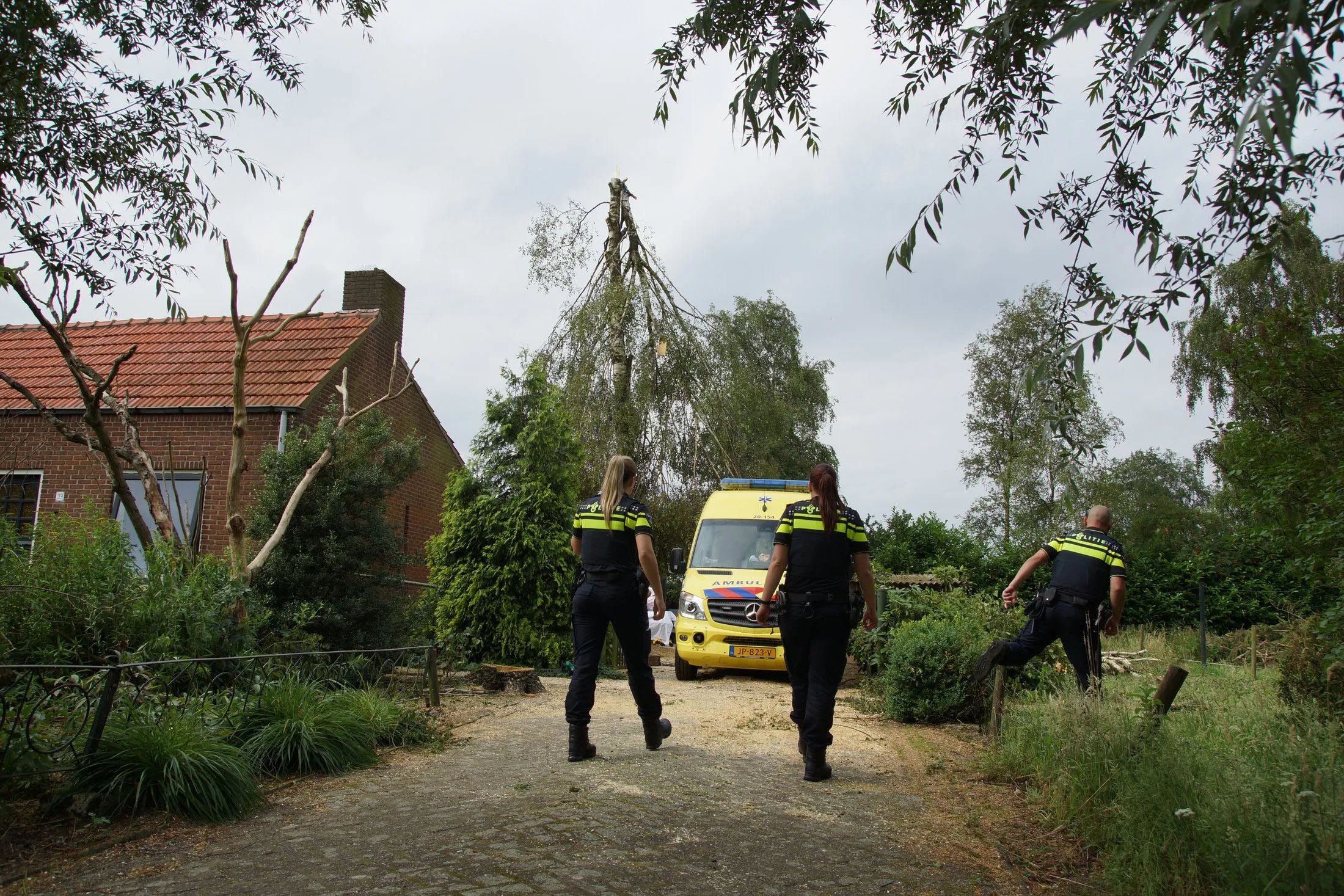 2016 07 09 1635 man zwaargewond na val uit boom tijdens snoeiwerkzaamheden loon op zand