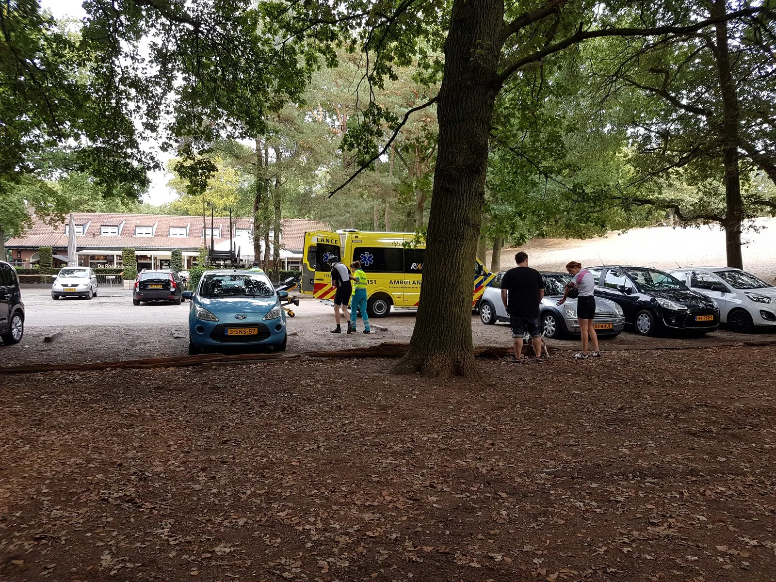 20160922 173605 picsay