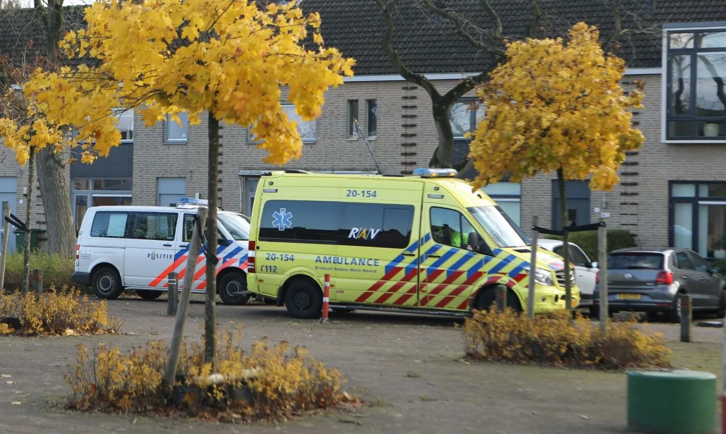 20161119103502 fpmb0617a picsay