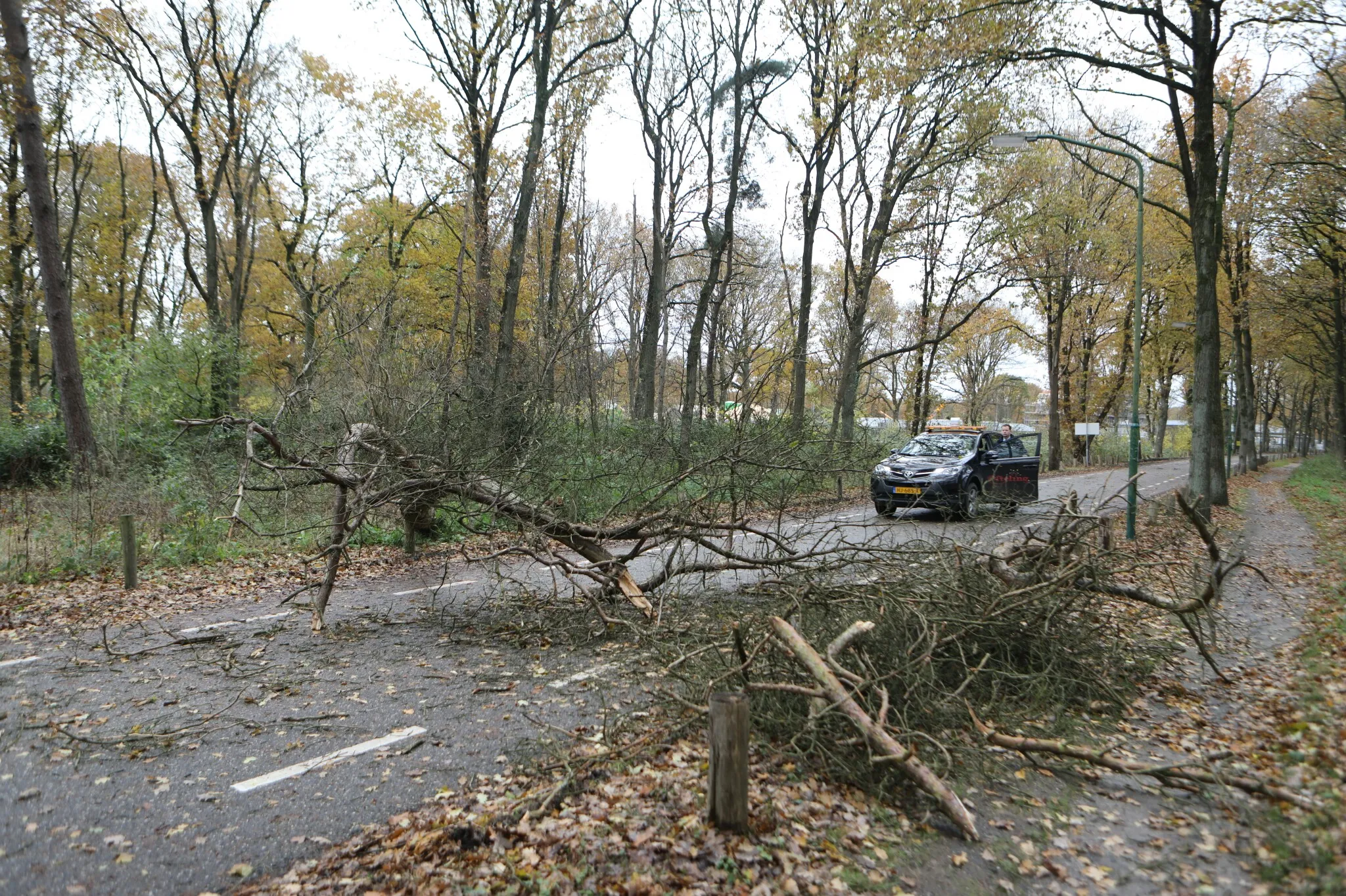 20161120131507 fpmb0619 picsay