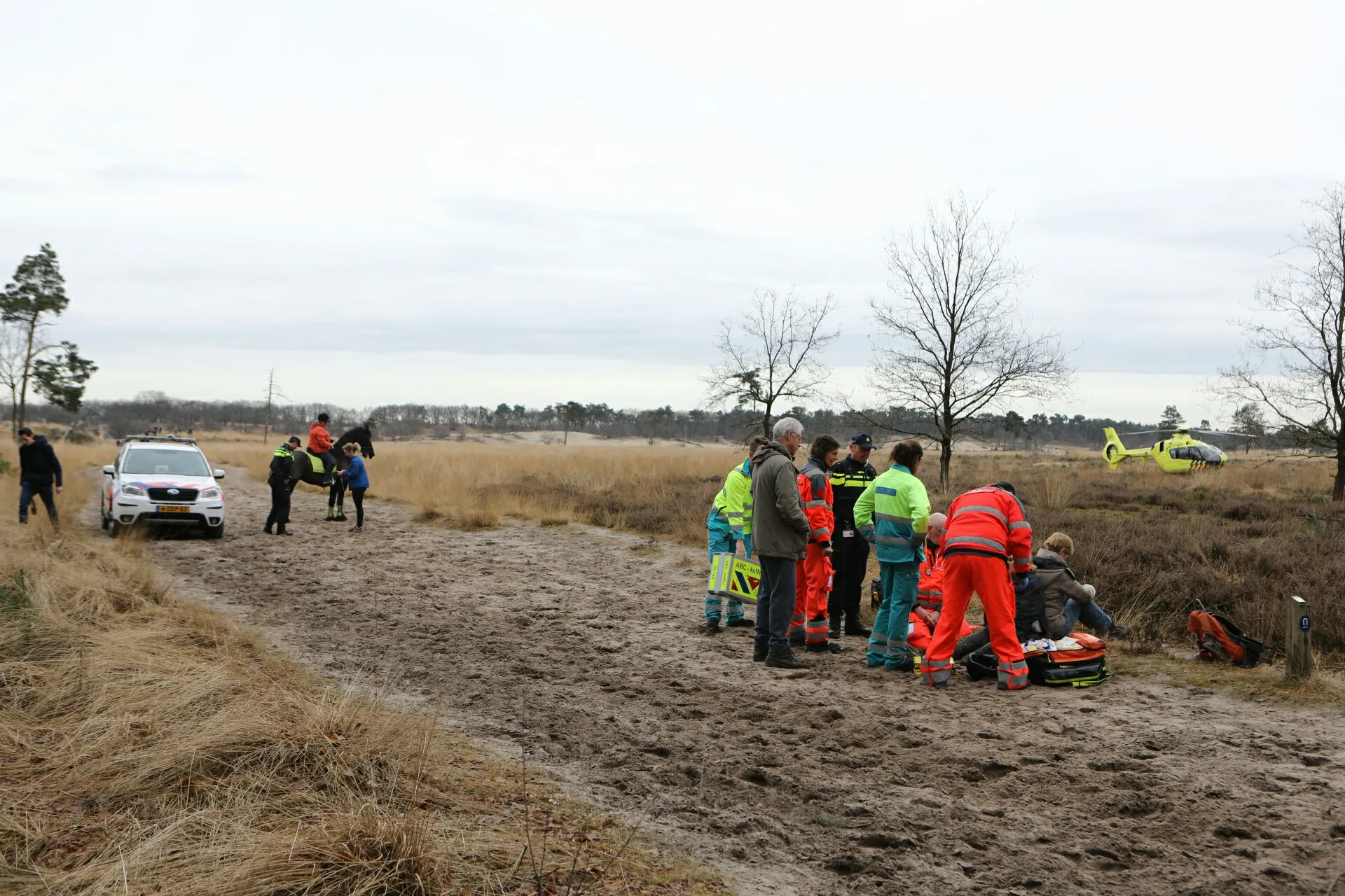 20170204131431 fpmb1485 picsay