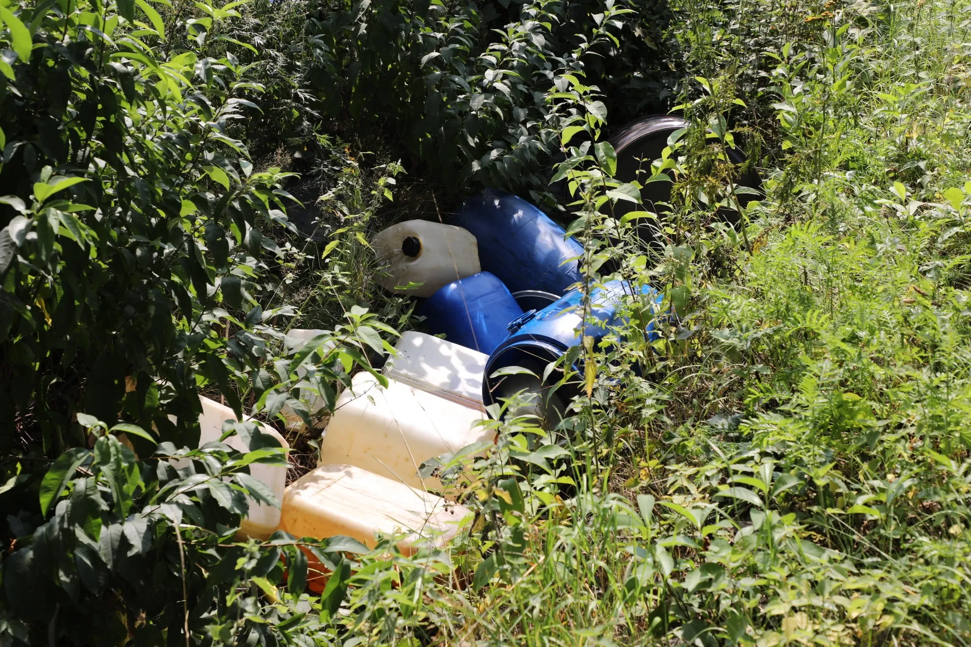 20170828131058 fpmb3952 picsay