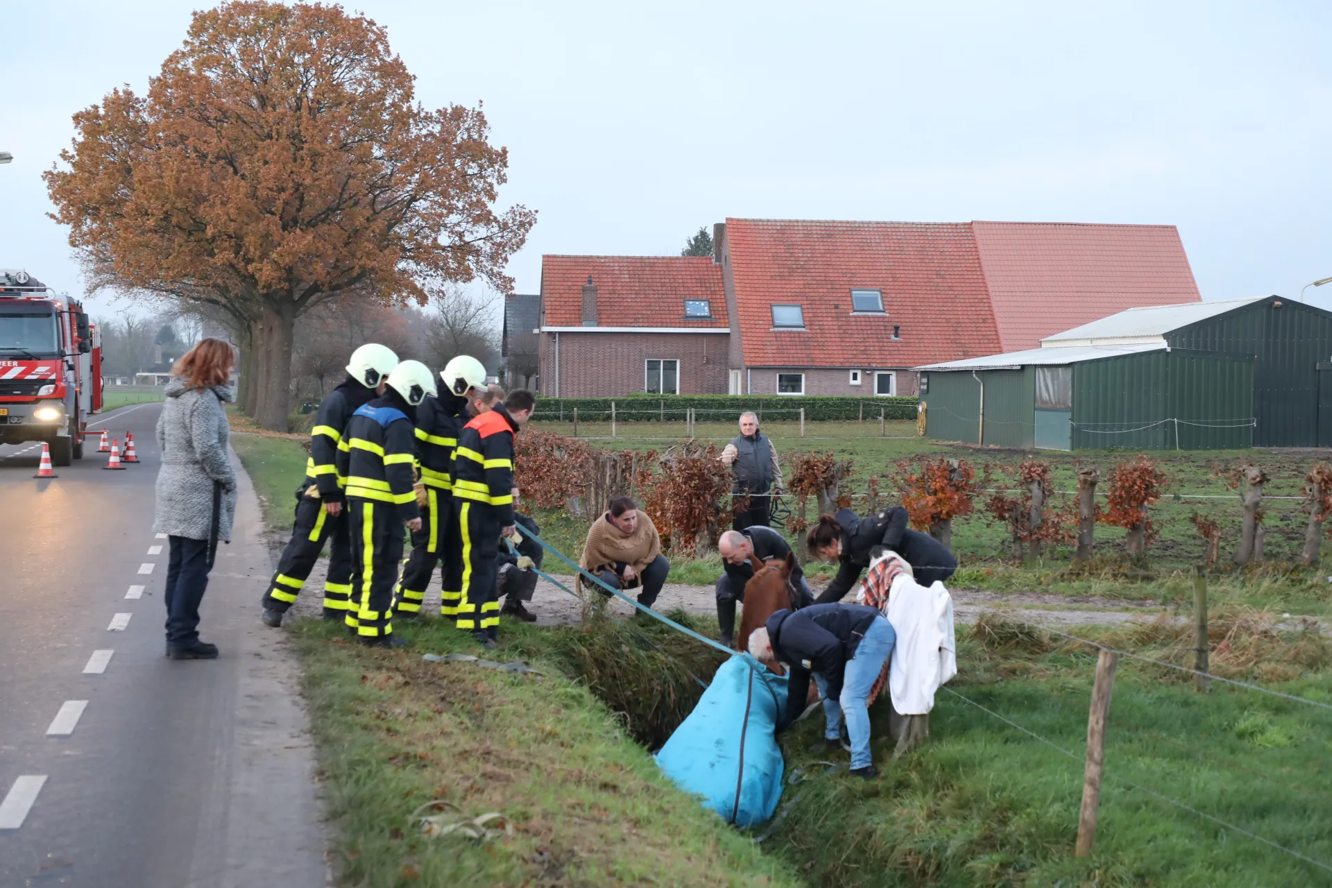 20171201163645 fpmb5138