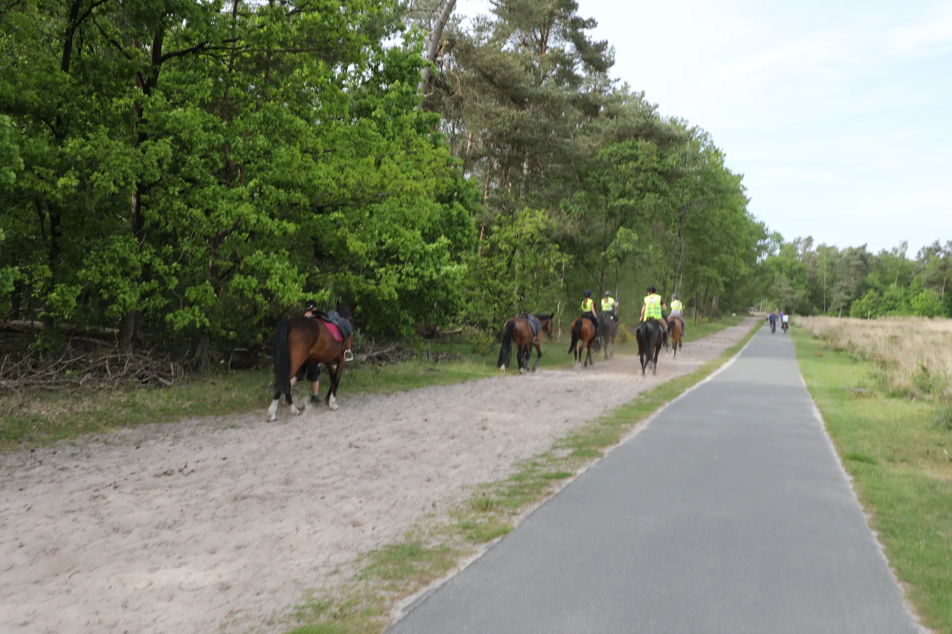 20180512162207 fpmb8139