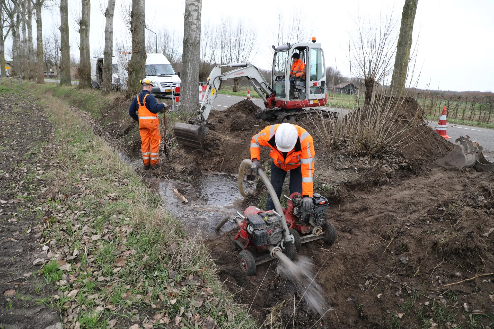 20190102135125 fpmb2171