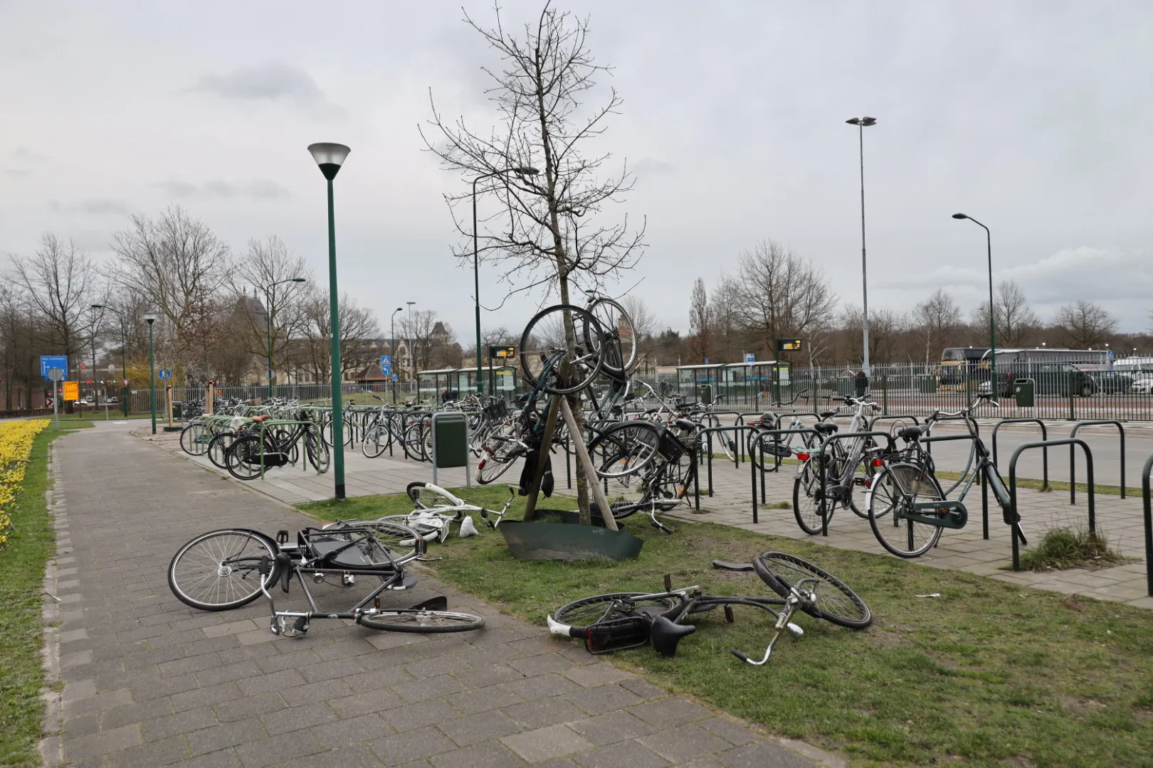 20200225171653 fpmb4087