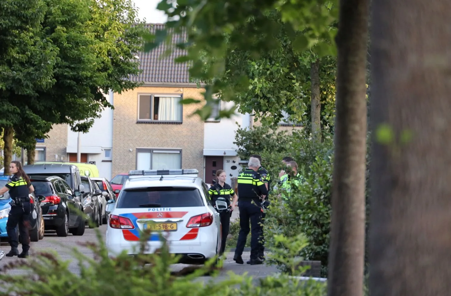 20200726203814 fpmb6414