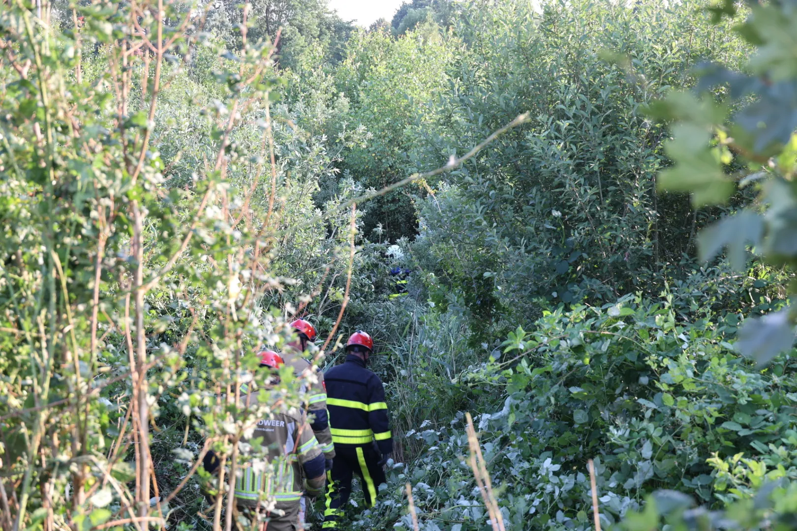 20210723200028 fpmb7223 1