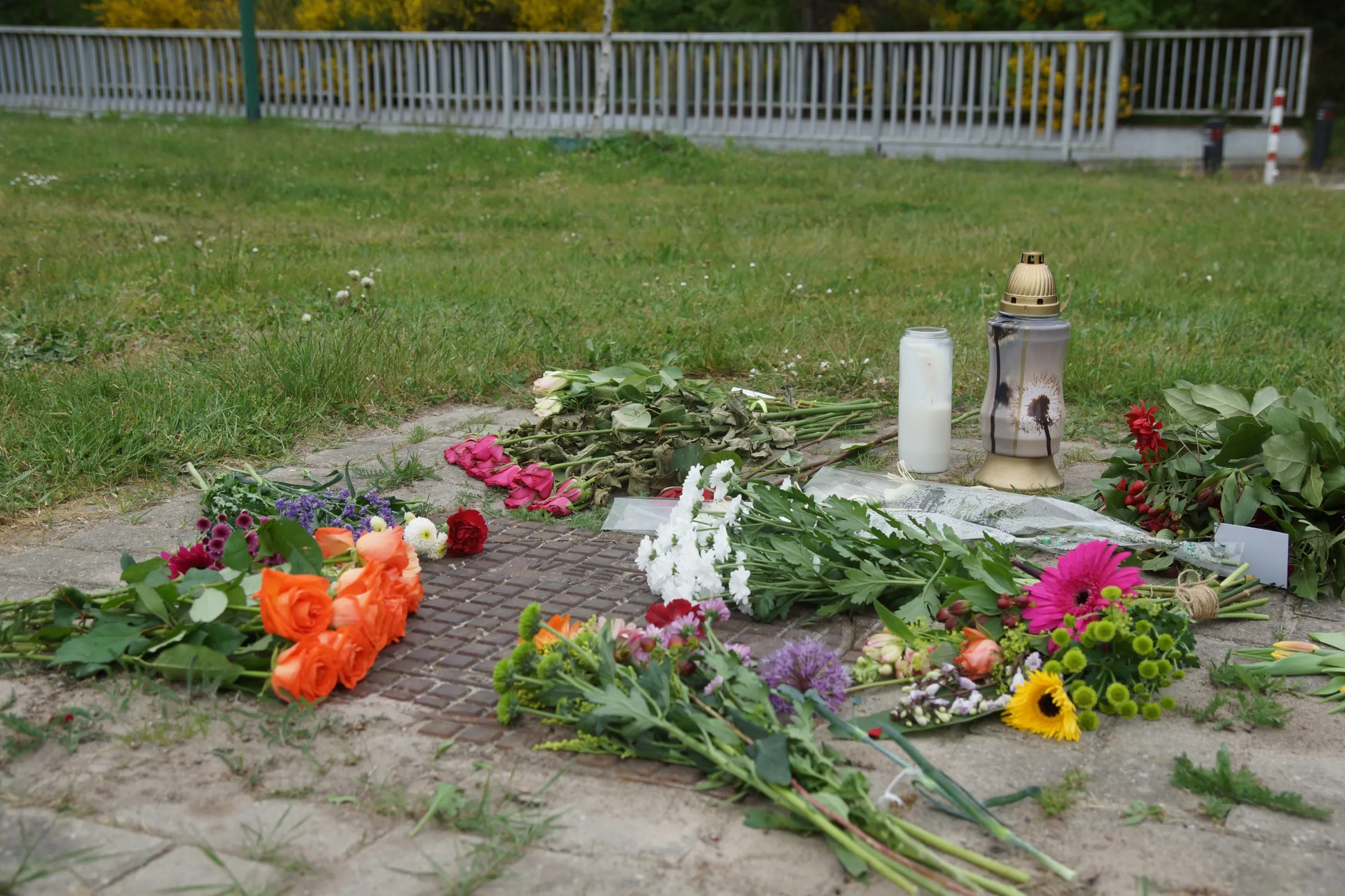 20220510183737 dsc00279